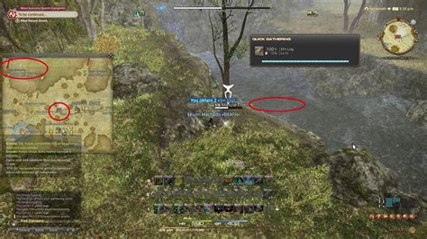 It is not my job to be right. . Elm log ffxiv
